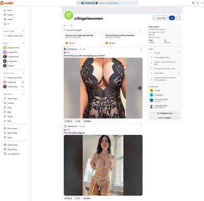 Reddit Lingerie Women